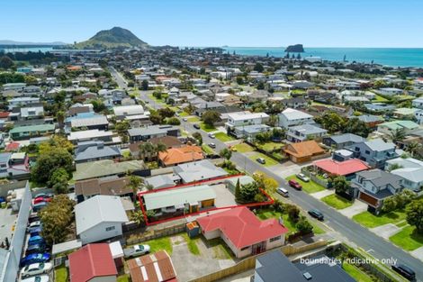 Photo of property in 66 Campbell Road, Mount Maunganui, 3116