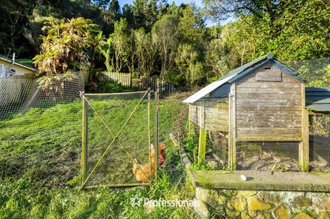 Photo of property in 49 Elmslie Road, Pinehaven, Upper Hutt, 5019