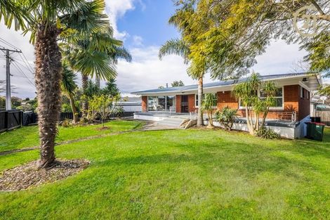 Photo of property in 3 Halberg Street, Papakura, 2110