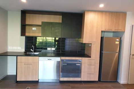 Photo of property in Vsp South, 207/168u Victoria Street, Te Aro, Wellington, 6011