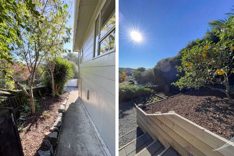 Photo of property in 31 Brunner Street, Nelson South, Nelson, 7010