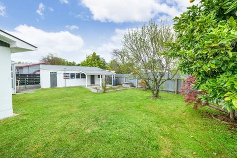 Photo of property in 30 Mokau Place, Terrace End, Palmerston North, 4410