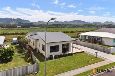 Photo of property in 19 Reel Road, Athenree, Waihi Beach, 3611