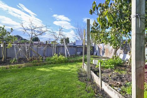 Photo of property in 407 Montgomery Street, Raureka, Hastings, 4120