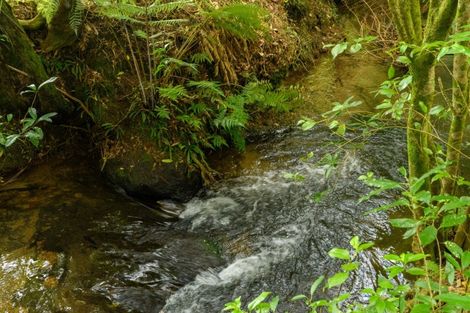 Photo of property in 125 Boscabel Drive, Ohauiti, Tauranga, 3112