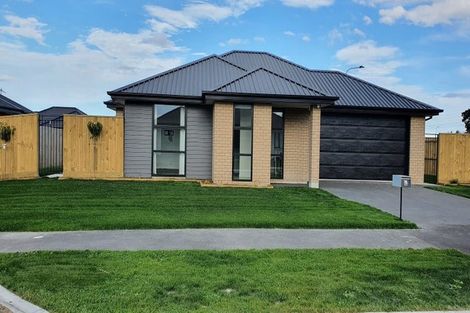 Photo of property in 19 Petunia Drive, Wigram, Christchurch, 8025
