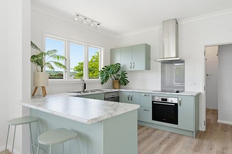 Photo of property in 103a Mulgrave Street, Ashhurst, 4810