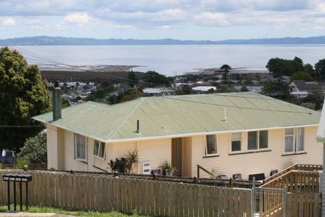 Photo of property in 201 Hauraki Terrace, Thames, 3500