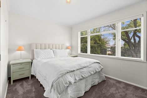 Photo of property in 23a Te Aute Road, Havelock North, 4130