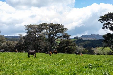 Photo of property in 100 Franklin Road, Waihi, 3682