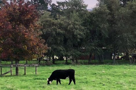 Photo of property in 110a Ruebe Road, Buckland, Pukekohe, 2677