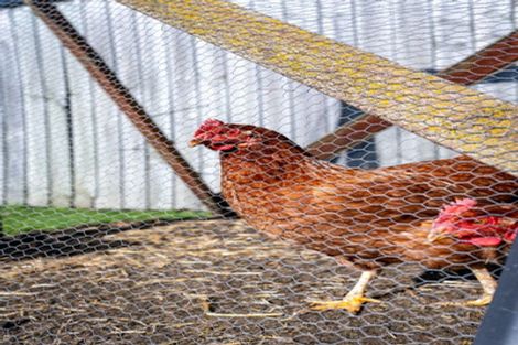 Photo of property in 133 Brookside Road, Rolleston, 7614