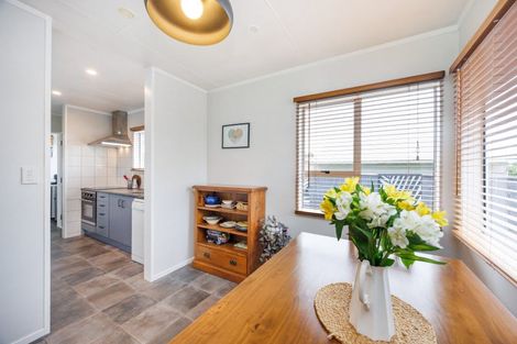 Photo of property in 27 Ferndale Place, Feilding, 4702