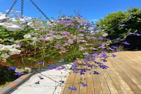 Photo of property in 43 Clover Drive, Henderson, Auckland, 0610