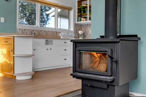 Photo of property in 17 Courage Road, Amberley, 7410