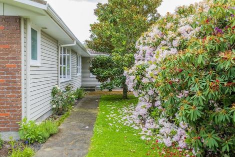 Photo of property in 175 Tiro Tiro Road, Levin, 5510