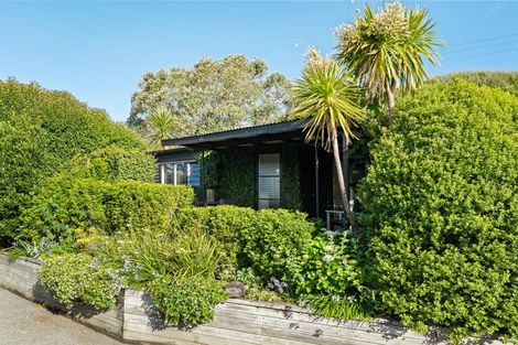 Photo of property in 19 Kanuka Road, Sandspit, Warkworth, 0982