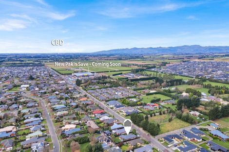 Photo of property in 48 Lowes Road, Rolleston, 7614