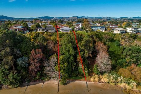 Photo of property in 51a Ririnui Place, Maungatapu, Tauranga, 3112