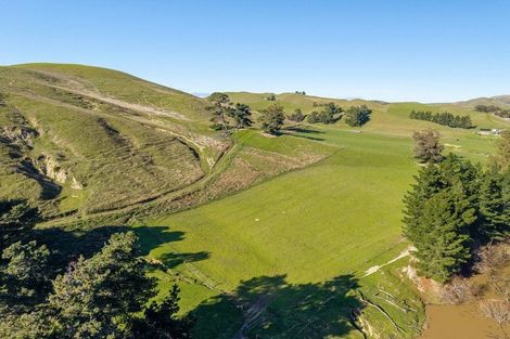 Photo of property in 453 Tetley Brook Road, Seddon, 7285