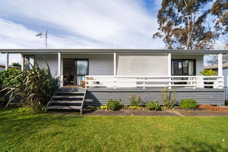 Photo of property in 45 Alison Street, Hamilton Lake, Hamilton, 3204