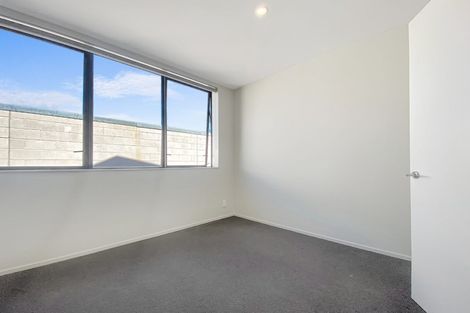Photo of property in Aniva Terrace, 14 Arney Street, Newtown, Wellington, 6021