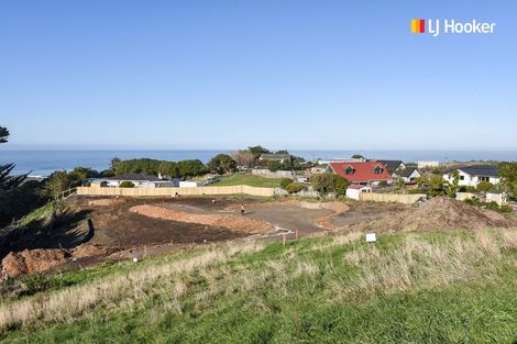 Photo of property in 155 Tomahawk Road, Andersons Bay, Dunedin, 9013