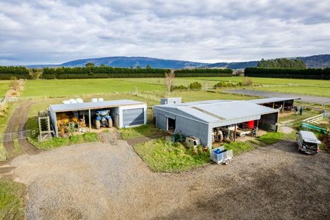Photo of property in 255 Riccarton Road West, Mosgiel, 9092