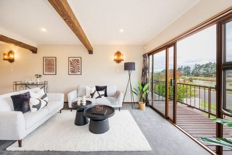 Photo of property in 47 Dittmer Drive, Awapuni, Palmerston North, 4412