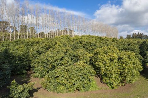 Photo of property in 308 Athenree Road, Athenree, Katikati, 3177