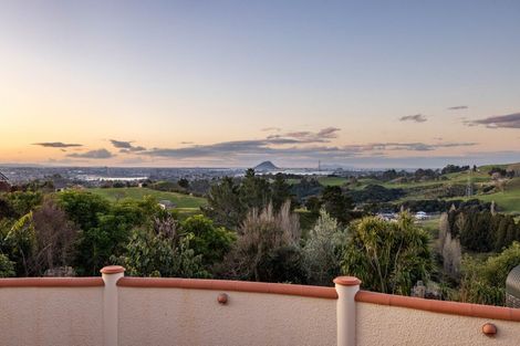 Photo of property in 393 Upper Ohauiti Road, Ohauiti, Tauranga, 3173