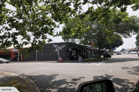 Photo of property in 118 Macfarlane Street, Hamilton East, Hamilton, 3216