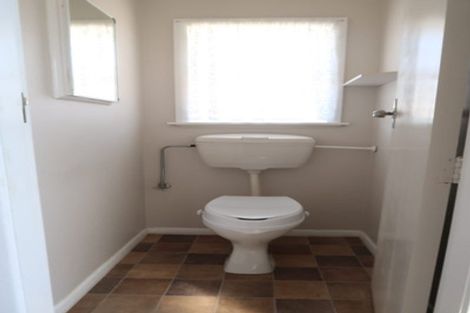 Photo of property in 47 Bath Street, Levin, 5510
