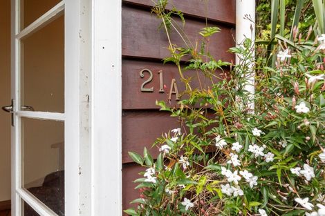 Photo of property in 21b Crieff Street, Northland, Wellington, 6012