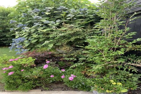 Photo of property in 4 Mary Place, Pyes Pa, Tauranga, 3112