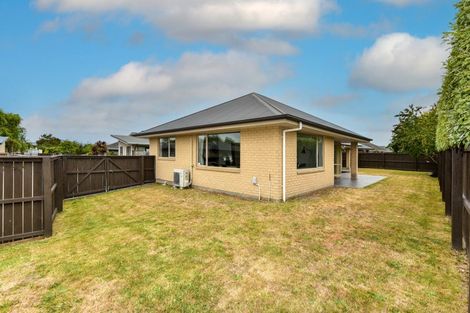 Photo of property in 19 Mosquito Place, Wigram, Christchurch, 8042