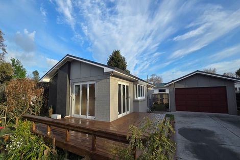 Photo of property in 4 Cotter Place, Hamilton East, Hamilton, 3216