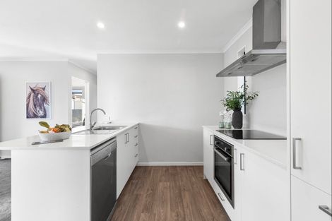 Photo of property in 24a Drake Street, Awapuni, Palmerston North, 4412