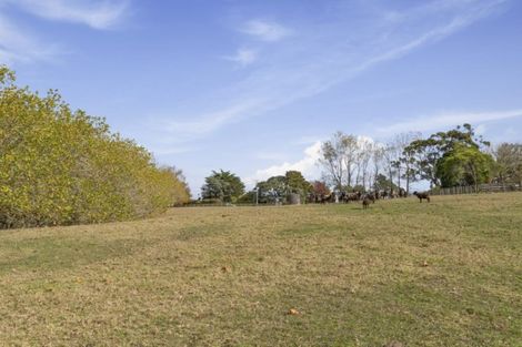 Photo of property in 115 Glenmore Road, Coatesville, Albany, 0793
