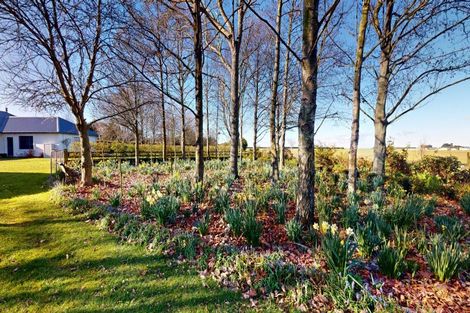 Photo of property in 1 Stamford Lane, Newland, Ashburton, 7772