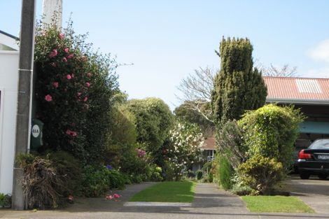 Photo of property in 48 Dorset Avenue, Westown, New Plymouth, 4310