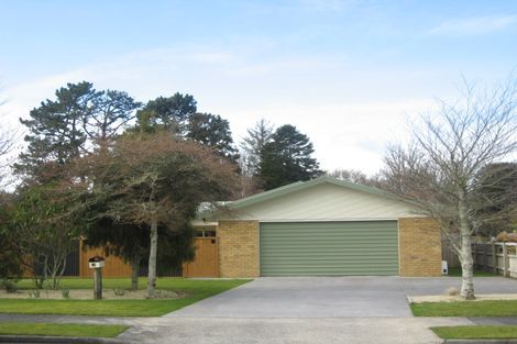 Photo of property in 12 Verona Place, Stratford, 4332