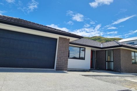Photo of property in 62 Hokioi Drive, Kenepuru, Porirua, 5022