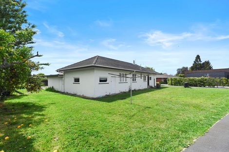 Photo of property in 390 Ulster Street, Beerescourt, Hamilton, 3200