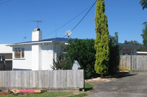 Photo of property in 39 Nikau Street, New Lynn, Auckland, 0600