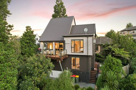 Photo of property in 2b Edgecumbe Street, Whitiora, Hamilton, 3200