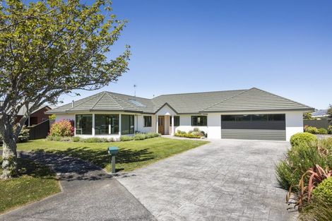 Photo of property in 16 Tudor Grove, Feilding, 4702