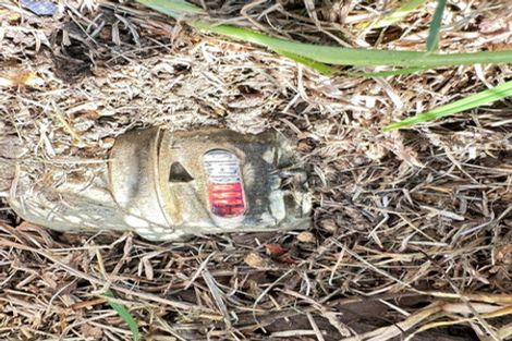 Photo of property in 60 Hewlett Road, Massey, Auckland, 0614