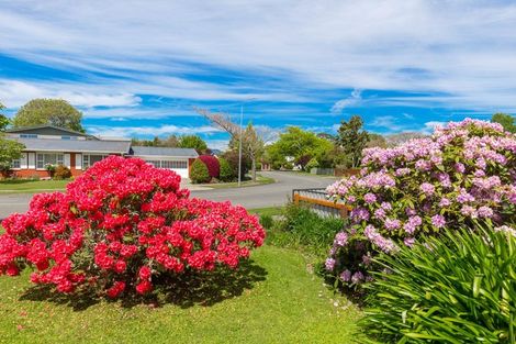 Photo of property in 42 Leefield Street, Blenheim, 7201