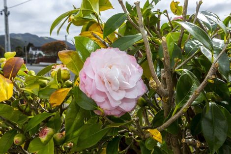 Photo of property in 32f2- Islington Street, Trentham, Upper Hutt, 5018